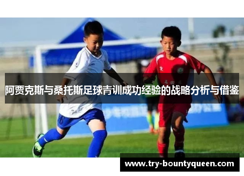 阿贾克斯与桑托斯足球青训成功经验的战略分析与借鉴