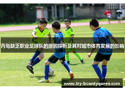 青岛缺乏职业足球队的原因探析及其对城市体育发展的影响