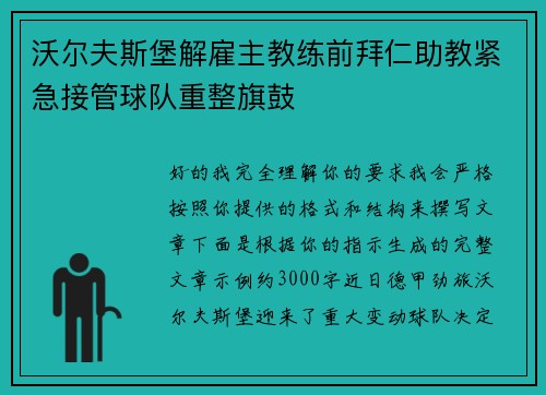 沃尔夫斯堡解雇主教练前拜仁助教紧急接管球队重整旗鼓